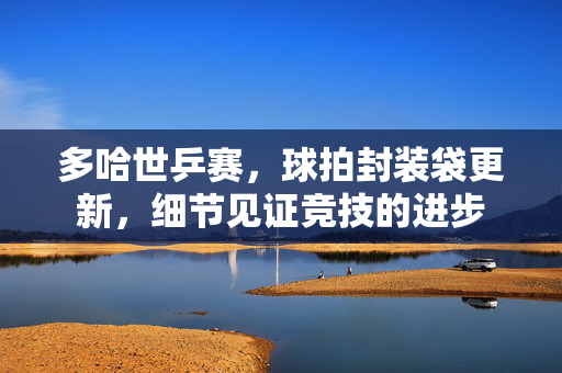 多哈世乒赛，球拍封装袋更新，细节见证竞技的进步