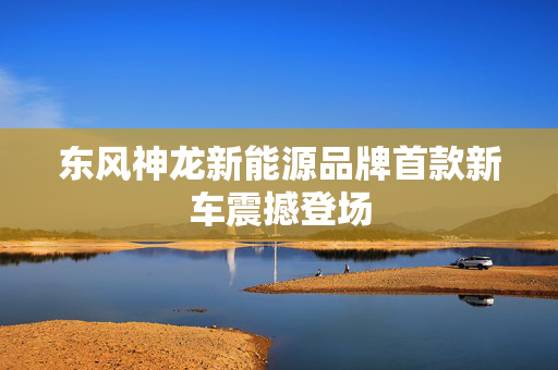 东风神龙新能源品牌首款新车震撼登场
