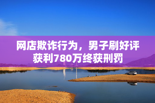 网店欺诈行为，男子刷好评获利780万终获刑罚