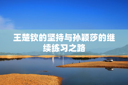 王楚钦的坚持与孙颖莎的继续练习之路