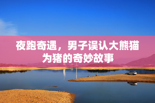 夜跑奇遇，男子误认大熊猫为猪的奇妙故事