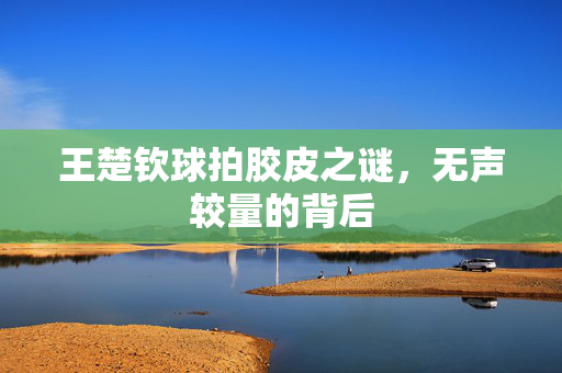 王楚钦球拍胶皮之谜，无声较量的背后