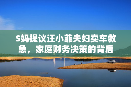 S妈提议汪小菲夫妇卖车救急，家庭财务决策的背后