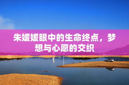 朱媛媛眼中的生命终点，梦想与心愿的交织