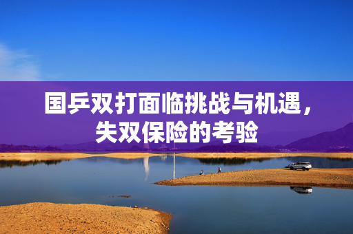 国乒双打面临挑战与机遇，失双保险的考验
