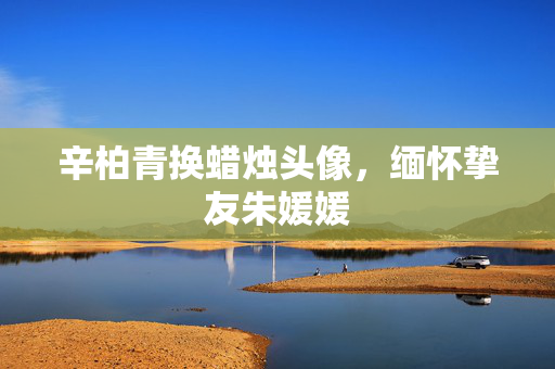 辛柏青换蜡烛头像，缅怀挚友朱媛媛