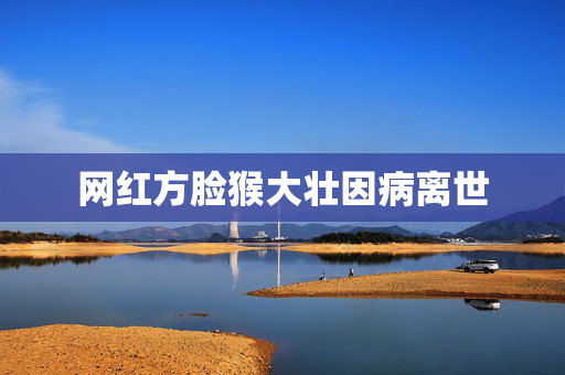 网红方脸猴大壮因病离世