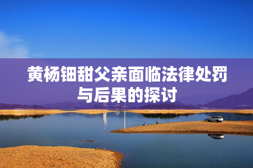 黄杨钿甜父亲面临法律处罚与后果的探讨