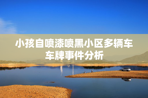 小孩自喷漆喷黑小区多辆车车牌事件分析