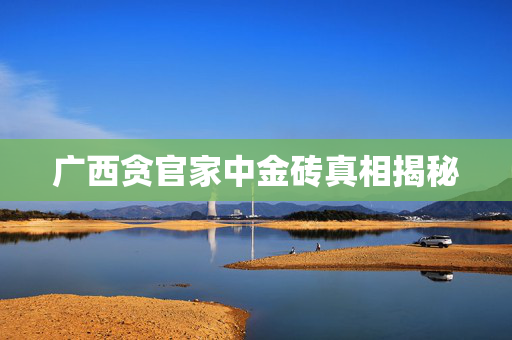 广西贪官家中金砖真相揭秘