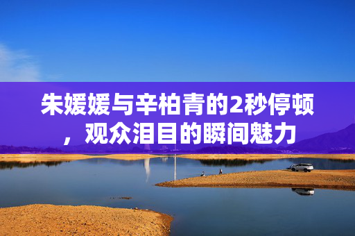 朱媛媛与辛柏青的2秒停顿，观众泪目的瞬间魅力