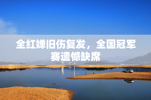 全红婵旧伤复发，全国冠军赛遗憾缺席