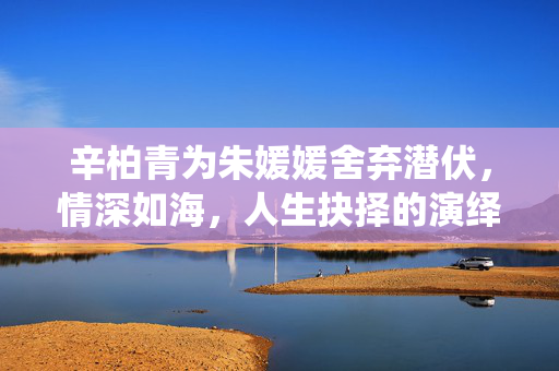 辛柏青为朱媛媛舍弃潜伏，情深如海，人生抉择的演绎