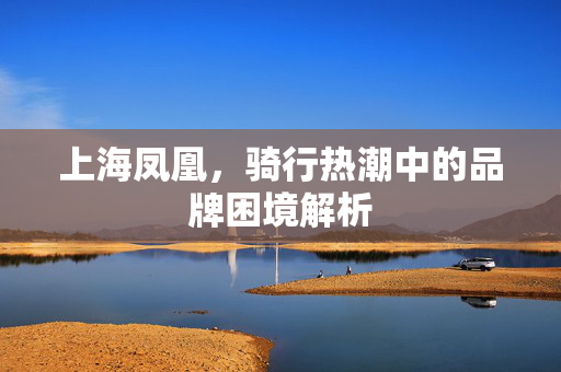 上海凤凰，骑行热潮中的品牌困境解析
