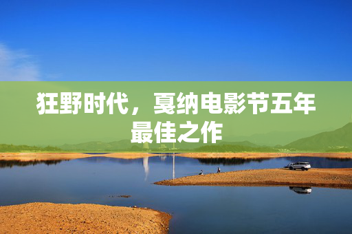狂野时代，戛纳电影节五年最佳之作