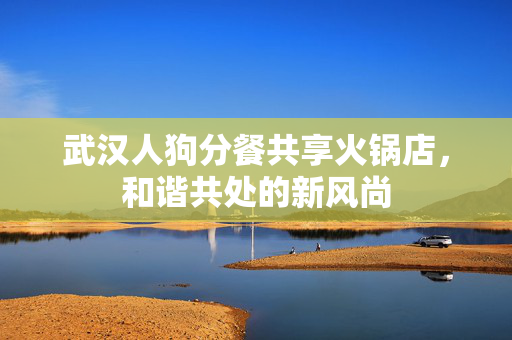 武汉人狗分餐共享火锅店，和谐共处的新风尚