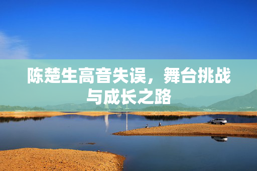 陈楚生高音失误，舞台挑战与成长之路
