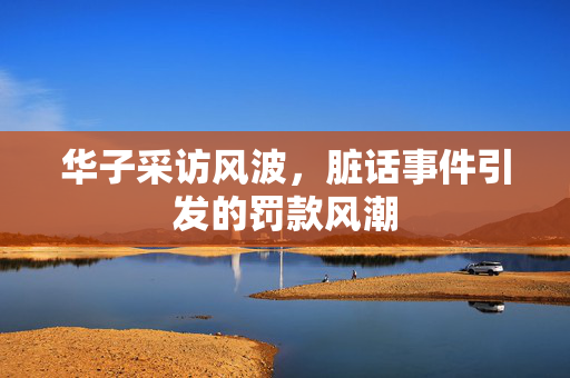 华子采访风波，脏话事件引发的罚款风潮