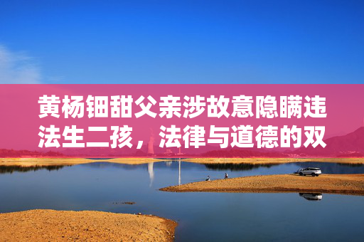 黄杨钿甜父亲涉故意隐瞒违法生二孩，法律与道德的双重审视