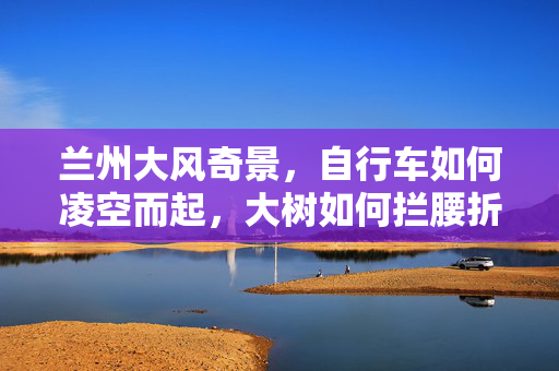 兰州大风奇景，自行车如何凌空而起，大树如何拦腰折断