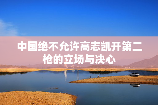 中国绝不允许高志凯开第二枪的立场与决心
