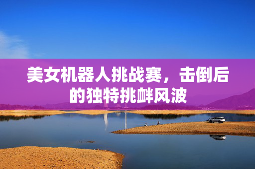 美女机器人挑战赛，击倒后的独特挑衅风波