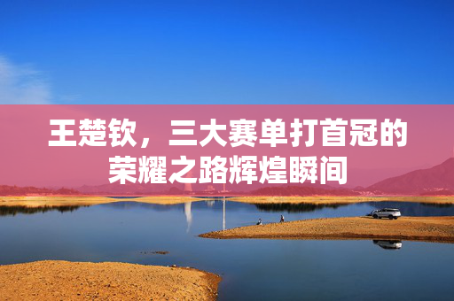 王楚钦，三大赛单打首冠的荣耀之路辉煌瞬间