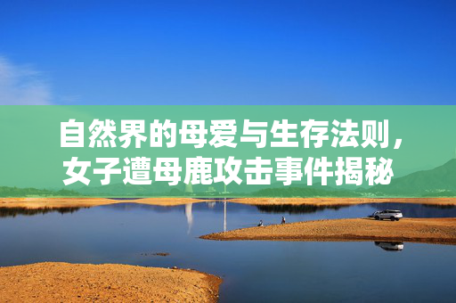 自然界的母爱与生存法则，女子遭母鹿攻击事件揭秘
