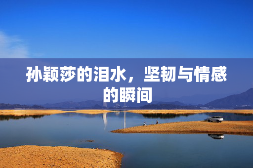 孙颖莎的泪水，坚韧与情感的瞬间