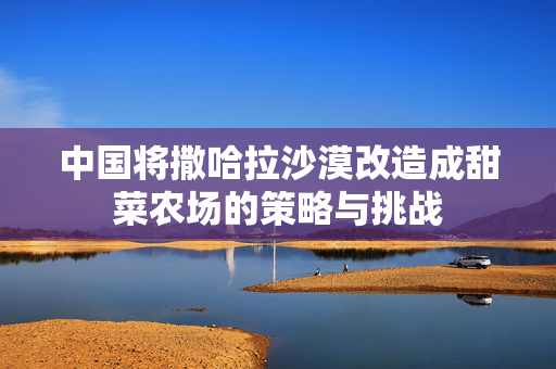 中国将撒哈拉沙漠改造成甜菜农场的策略与挑战