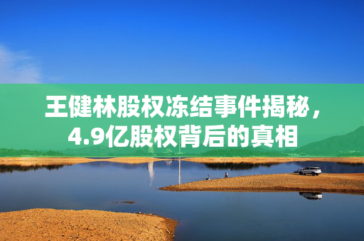 王健林股权冻结事件揭秘，4.9亿股权背后的真相