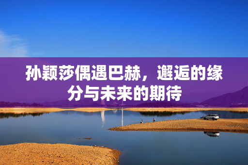 孙颖莎偶遇巴赫，邂逅的缘分与未来的期待
