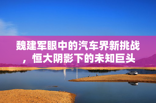 魏建军眼中的汽车界新挑战，恒大阴影下的未知巨头