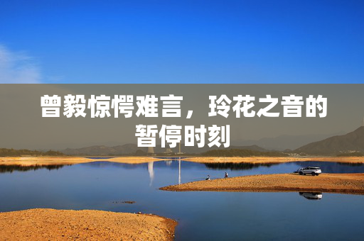 曾毅惊愕难言，玲花之音的暂停时刻