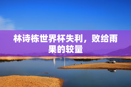林诗栋世界杯失利，败给雨果的较量