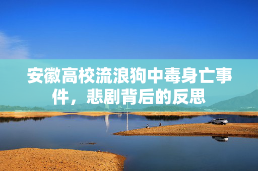 安徽高校流浪狗中毒身亡事件，悲剧背后的反思