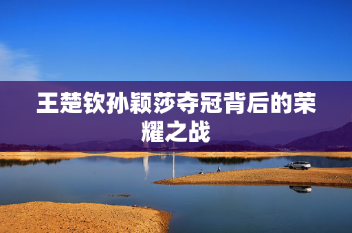 王楚钦孙颖莎夺冠背后的荣耀之战