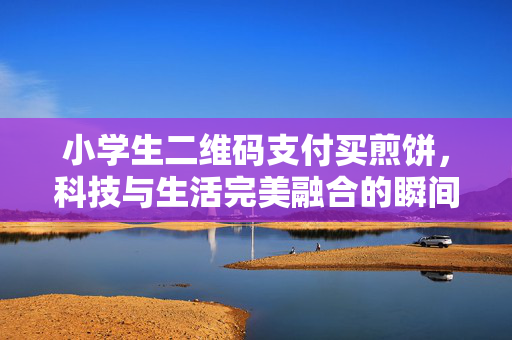 小学生二维码支付买煎饼，科技与生活完美融合的瞬间