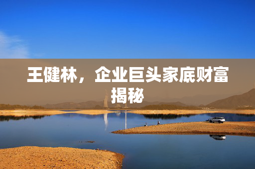 王健林，企业巨头家底财富揭秘