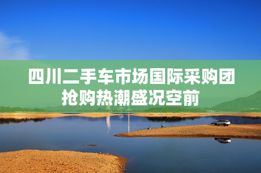 四川二手车市场国际采购团抢购热潮盛况空前