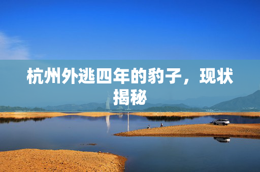 杭州外逃四年的豹子，现状揭秘