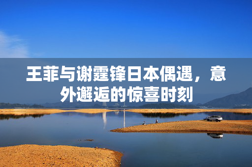 王菲与谢霆锋日本偶遇，意外邂逅的惊喜时刻