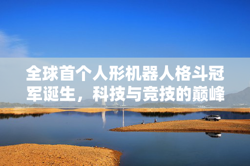 全球首个人形机器人格斗冠军诞生，科技与竞技的巅峰对决