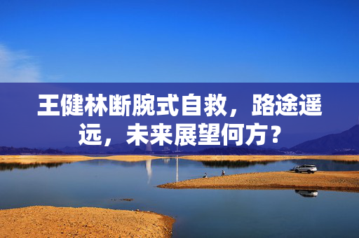 王健林断腕式自救，路途遥远，未来展望何方？