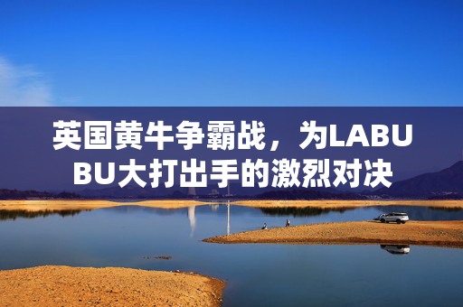 英国黄牛争霸战，为LABUBU大打出手的激烈对决