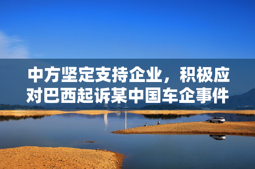 中方坚定支持企业，积极应对巴西起诉某中国车企事件
