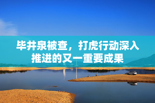 毕井泉被查，打虎行动深入推进的又一重要成果