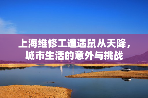 上海维修工遭遇鼠从天降，城市生活的意外与挑战