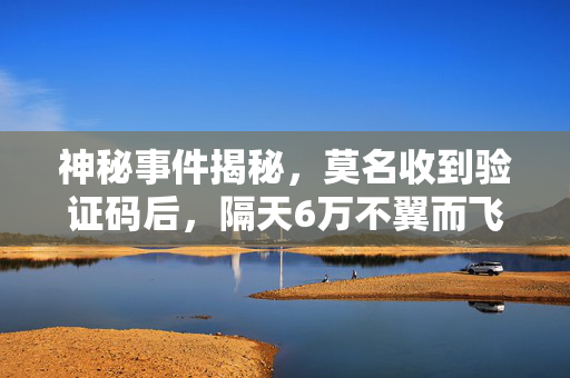 神秘事件揭秘，莫名收到验证码后，隔天6万不翼而飞