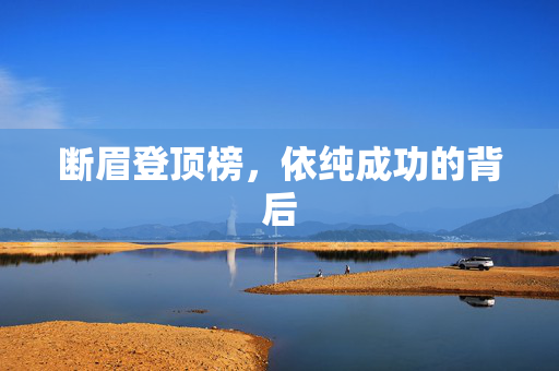 断眉登顶榜，依纯成功的背后